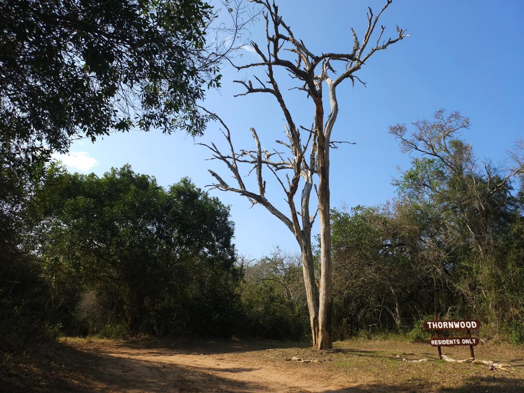 Thornwood Villa Hluhluwe Exterior photo